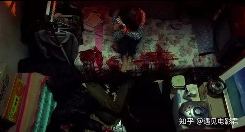 十八禁的在线观看,十八禁内容的隐秘世界  第2张