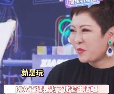 向太直播爆料最新消息,娱乐圈最新动态大揭秘！